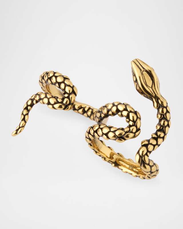 Snake Coil Double Ring